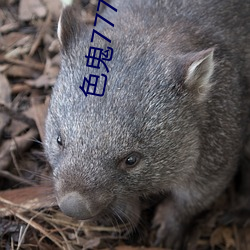 色鬼7777久久(久)