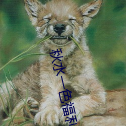 vwinӮ(й) - ٷվ