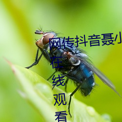 网传抖(dǒu)音聂小雨(yǔ)玄色皮衣(yī)5分37秒在(zài)线寓目具体是什么