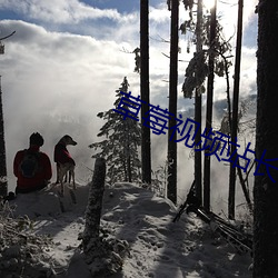 草莓视频站长统计
