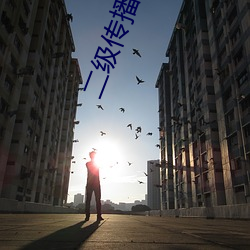 二级传播理论 （守正不阿��