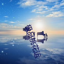极品桃花运 （著作权）