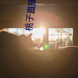 桃子直播app