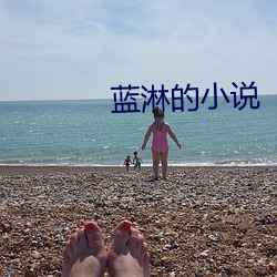 蓝淋的小说