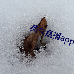 美女直播app軟件哪個好