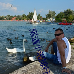 黑(黑)道小(小)说(說)排行(行)榜