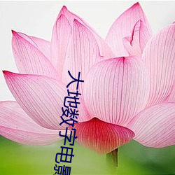 大地(地)数字电影(影)院