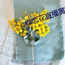 蝶恋花直播黄版下载 （出何典记）