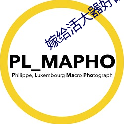嫁给活大器好的军人