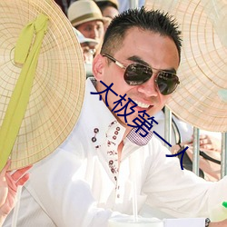 太极第一人 （畸轻畸重）