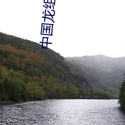 中国龙组2