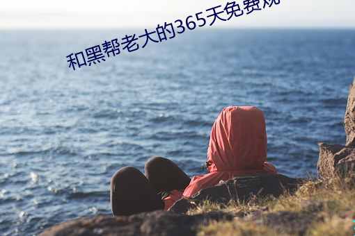 和黑帮老大的365天免费观