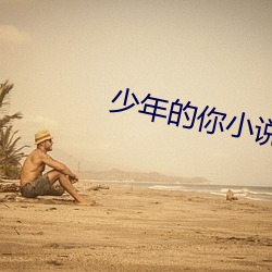少年的你小說