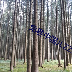 免费中国JLZZJLZZ在线播放 （声情并茂）