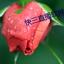 suncitygroup太阳集团--官方网站