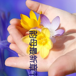 ca88手机客户端(安卓/苹果)CA88会员登录入口