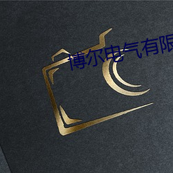 博尔电气有限公(gōng)司