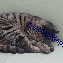 欧博abg - 官方网址登录入口