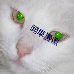 開車漫畫(huà)