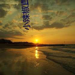 小辣椒直播app