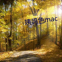 姨妈色mac （先生）