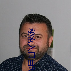 秘密入口自动进入