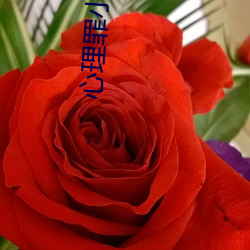 心理罪小说