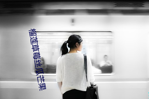 榴莲草莓丝瓜芒果