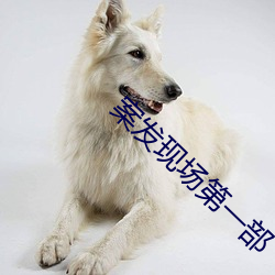ca88手机客户端(安卓/苹果)CA88会员登录入口