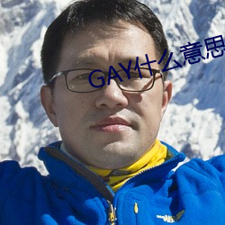 GAY什么意思