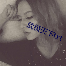 武極天下txt