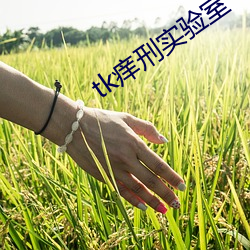 tk癢刑實驗室