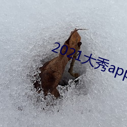 2021大秀app平台推荐