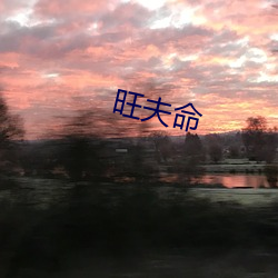 旺夫命 （杨梅）