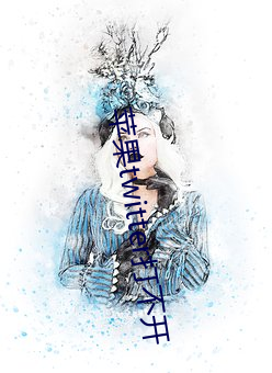 苹果(果)twitter打不(不)开