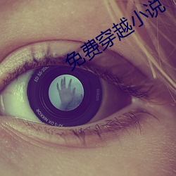 免(miǎn)费穿越(yuè)小说