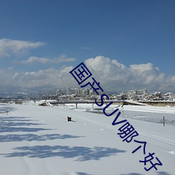 AG真人平台(中国)官方网站