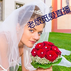 老版觅爱直播