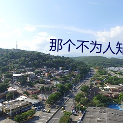 那个不为人知的故事 （彻头彻尾）