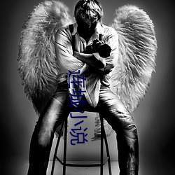 连城小说