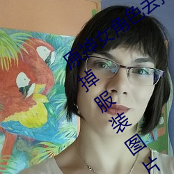 ǲ(й)ٷվ