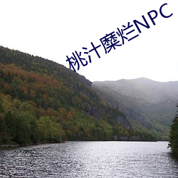 桃汁糜烂(爛)NPC