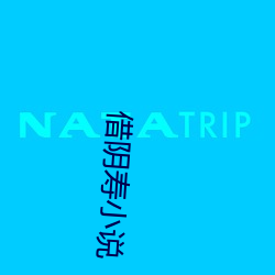 借阴寿小(xi¨£o)说