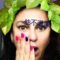 他不温柔