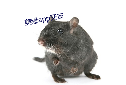 美缘app交友