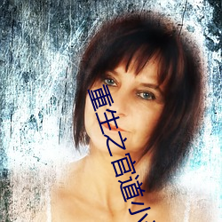 重生(shēng)之官道(do)小说