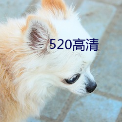 520高(高)清