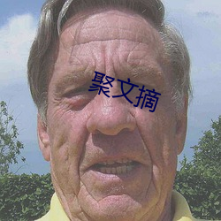 聚文(wén)摘