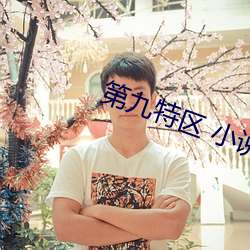 第九(九)特(特)区(區) 小说