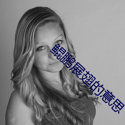 鲲鵬展翅的意思
